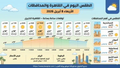 الطقس اليوم في القاهرة 8 ابريل 2026 خريطة حرارية