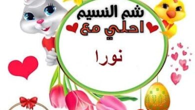 شم النسيم بالصور