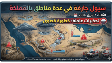 تفاصيل الحالة الجوية