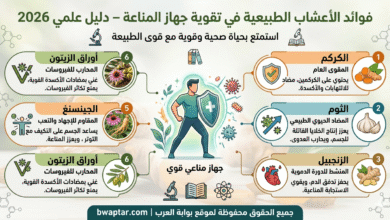 فوائد الأعشاب الطبيعية