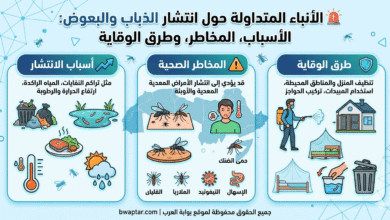 انتشار الذباب والبعوض
