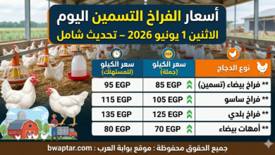 أسعار الفراخ التسمين