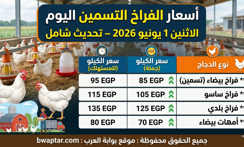 أسعار الفراخ التسمين