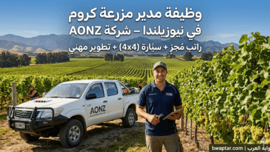 مدير مزرعة كروم في نيوزيلندا