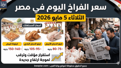 الفراخ اليوم