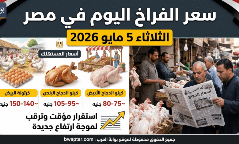الفراخ اليوم