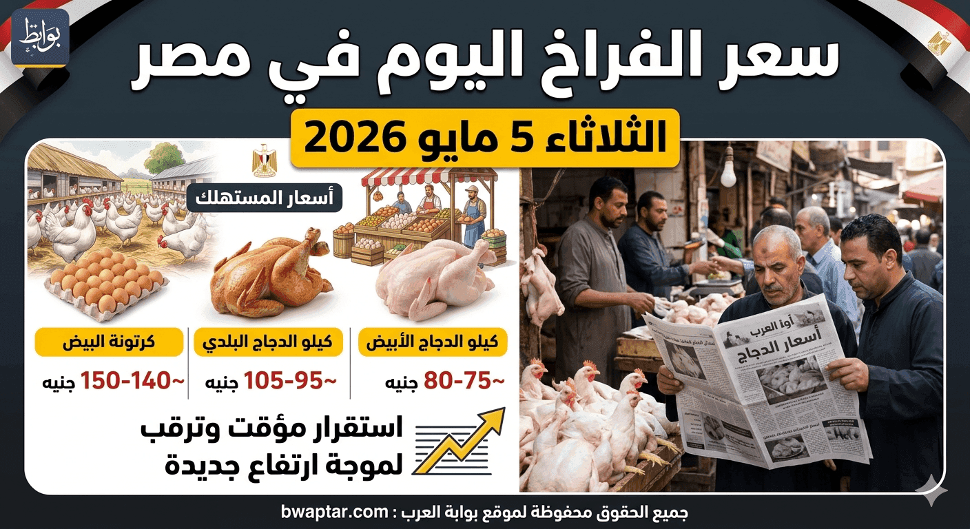 الفراخ اليوم