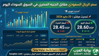الريال السعودي مقابل الجنيه المصري