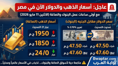 صور تعبيرية توضح آخر تحديثات عيار 21، عيار 24، وسعر الدولار
