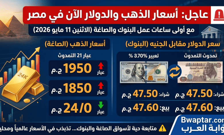 صور تعبيرية توضح آخر تحديثات عيار 21، عيار 24، وسعر الدولار