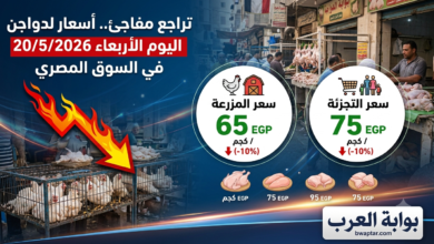 الدواجن اليوم الأربعاء 20/5/2026 في السوق المصري