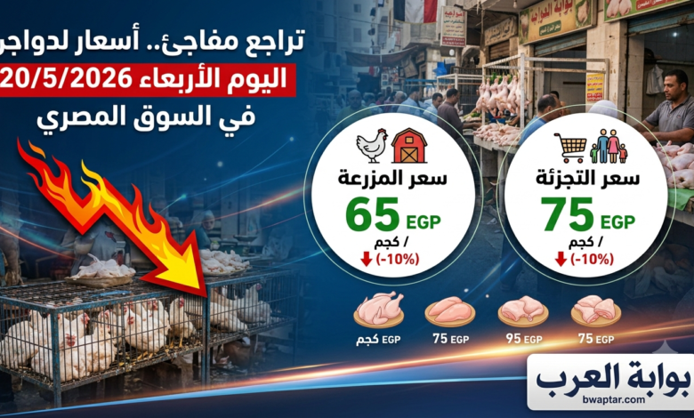 الدواجن اليوم الأربعاء 20/5/2026 في السوق المصري
