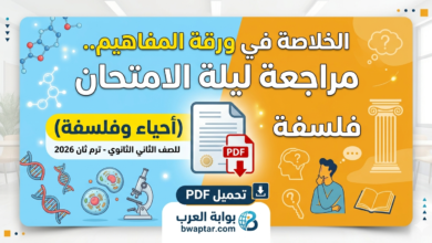الخلاصة في ورقة المفاهيم