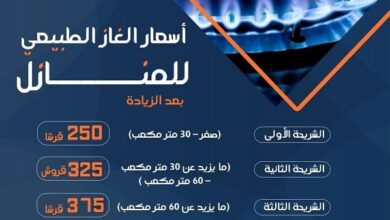 أسعار الغاز في مصر