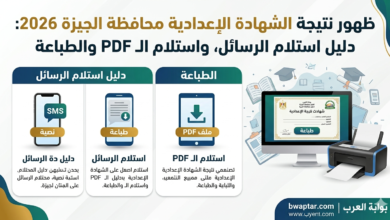 محافظة الجيزة 2026