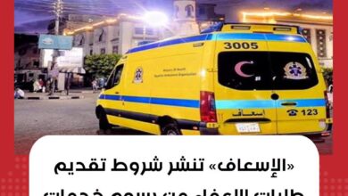 رسوم خدمات النقل