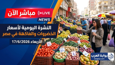 النشرة اليومية لأسعار الخضروات