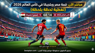 مصر وبلجيكا في كأس العالم