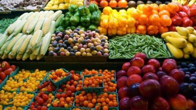 الخضروات والفاكهة في مصر