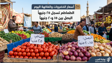 الطماطم تسجل 25 جنيهًا