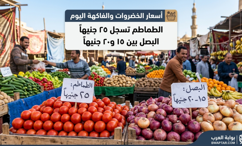 الطماطم تسجل 25 جنيهًا