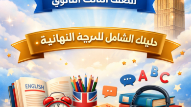 دليلك الشامل للدرجة النهائية