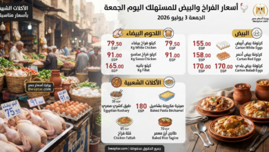 الفراخ والبيض
