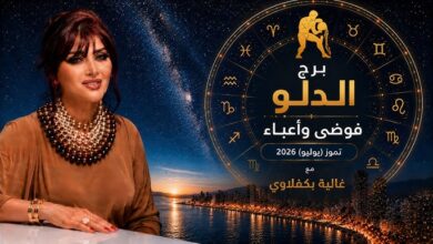 برج الدلو