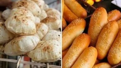 الخبز السياحي والفينو