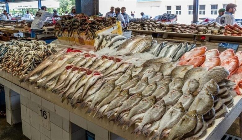 أسعار الأسماك