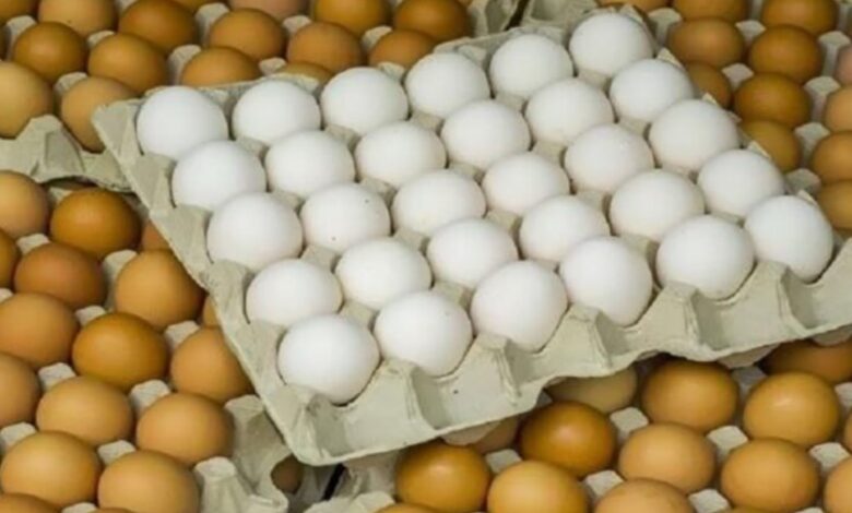 كرتونة البيض تتجاوز 115 جنيه