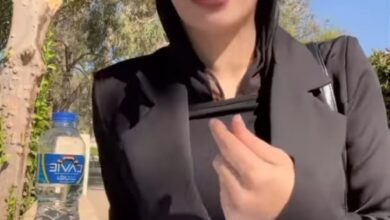 دينا عزت