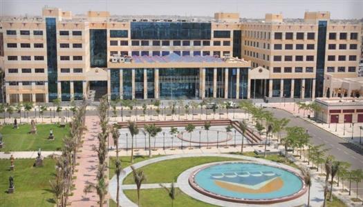المدارس الخاصة والأهلية
