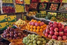 أسعار الفاكهة 13 سبتمبر