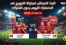 مباراة النرويج والدنمارك