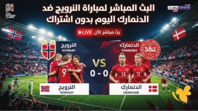 مباراة النرويج والدنمارك