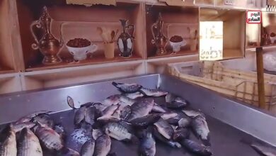 البلطي