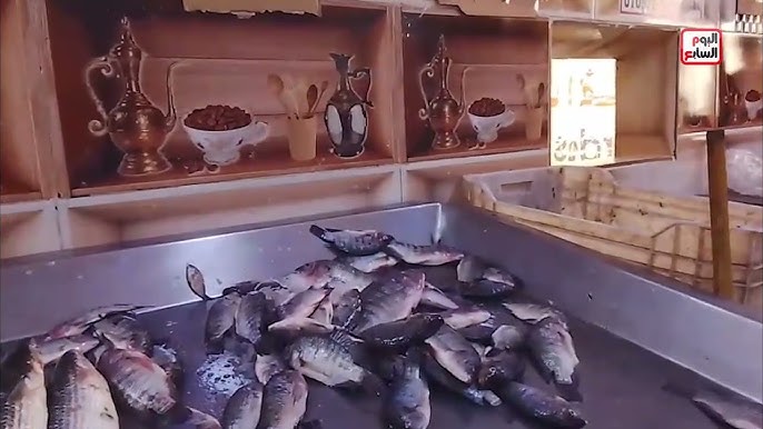 البلطي