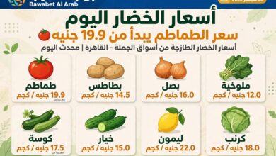 أسعار الخضروات اليوم السبت 26 سبتمبر