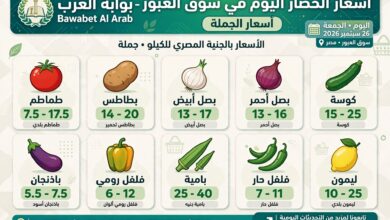 أسعار الخضار اليوم السبت 26 سبتمبر 2026