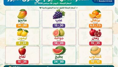 أسعار الفاكهة اليوم السبت 26 سبتمبر 2026