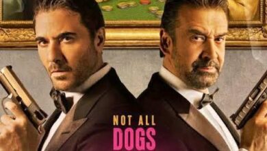 الأفلام المصرية الجديدة