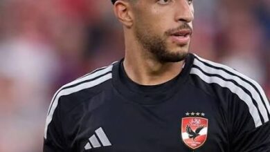 مصطفى شوبير