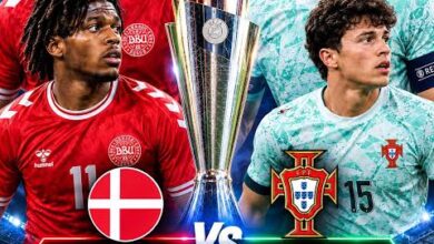 مباراة الدنمارك والبرتغال