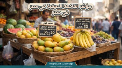 تحديث لأسعار الفاكهة
