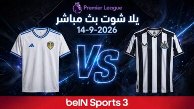 ليدز يونايتد ونيوكاسل