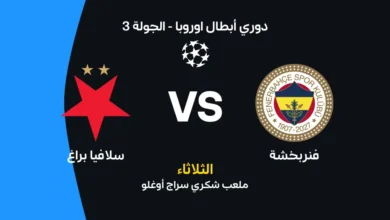 فنربخشة ضد سلافيا