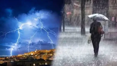 الشبورة والأمطار اليوم