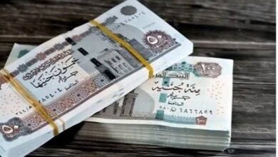 الحد الأدنى للأجور