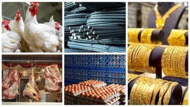 أسعار اليوم في مصر 2 أكتوبر 2026 - بوابة العرب